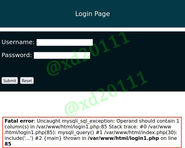 Figure 6: Testing for Error-based payload