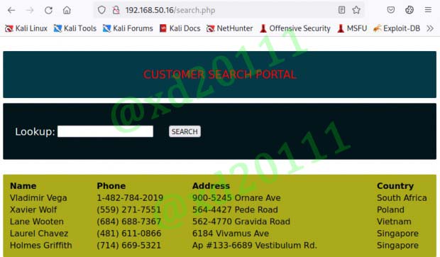 Figure 9: Loading the Customer Search Portal