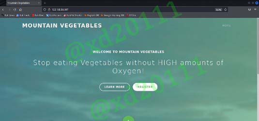 Figure 1: Mountain Vegetables Single Page Application