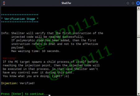 Figure 13: shellter verifying the injection