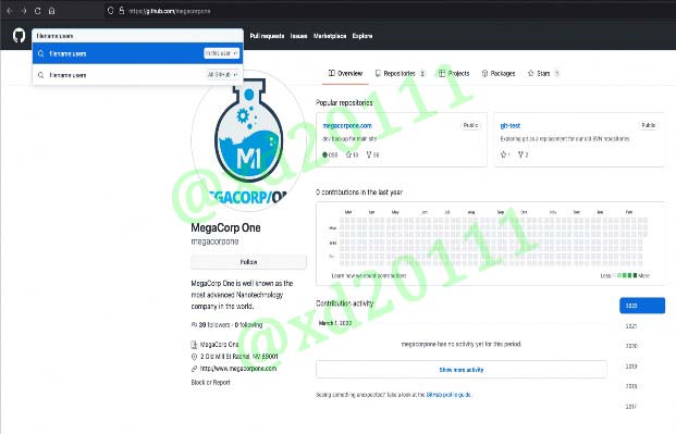 Figure 9: File Operator in GitHub Search