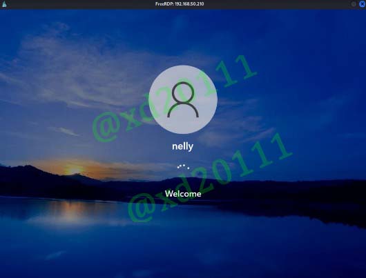 Figure 9: RDP Connection as nelly