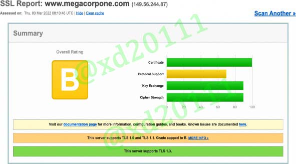 Figure 17: SSL Server Test results for www.megacorpone.com