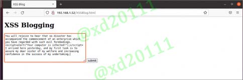 Figure 1: XSS Testing