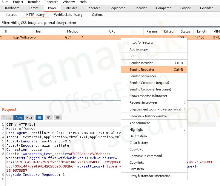 Figure 2: XSS Testing Issue