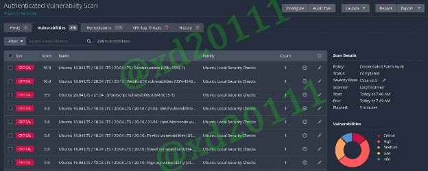 Figure 34: Authenticated Scan Results