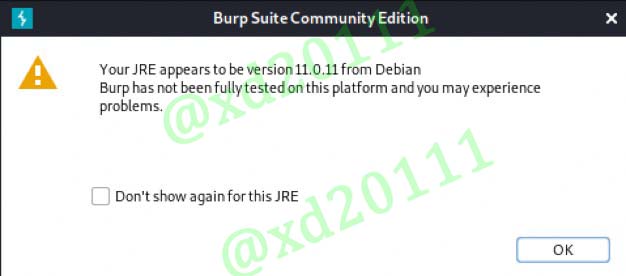 Figure 1: Burp Suite JRE warning