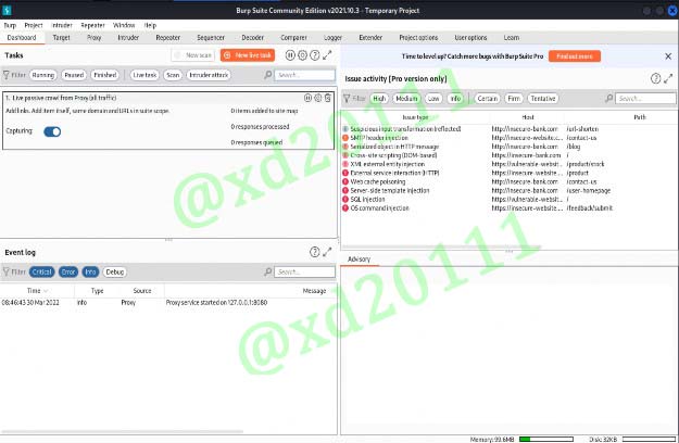 Figure 5: Burp Suite User Interface