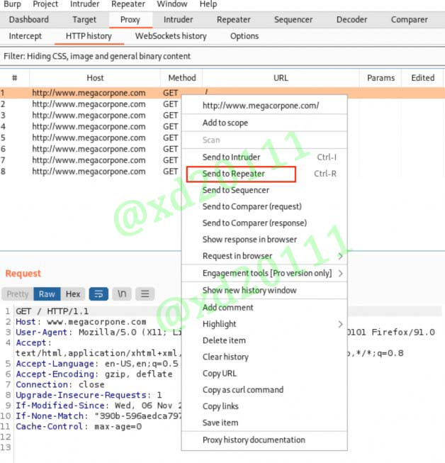 Figure 11: Sending a Request to Repeater