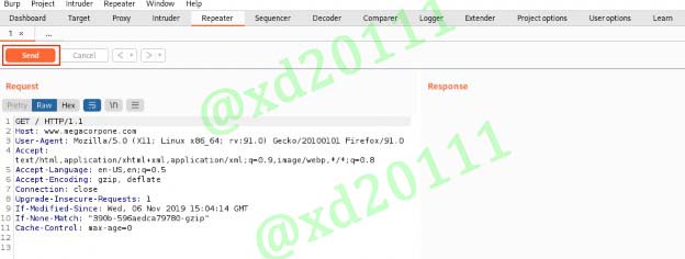 Figure 12: Burp Suite Repeater