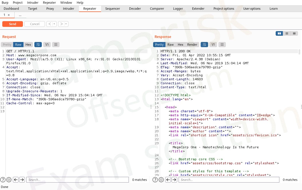 Figure 13: Burp Suite Repeater with Request and Response