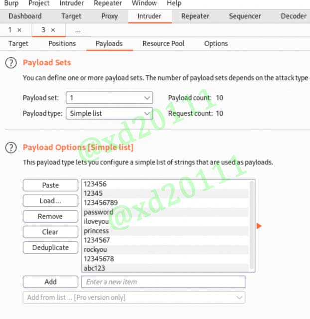 Figure 15: Pasting the first 10 rockyou entries